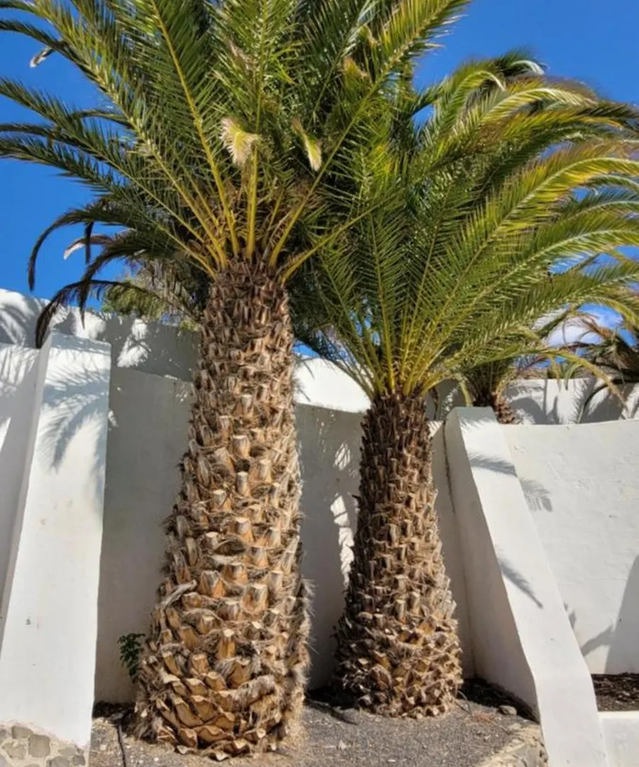 El Loft Del Capitan Lägenhet Valle de Santa Inés
